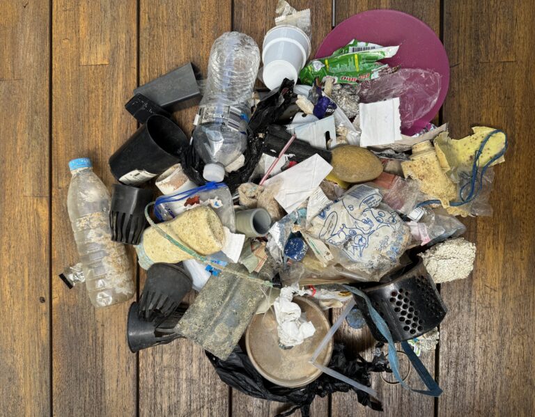 Plastic Pollution Cover