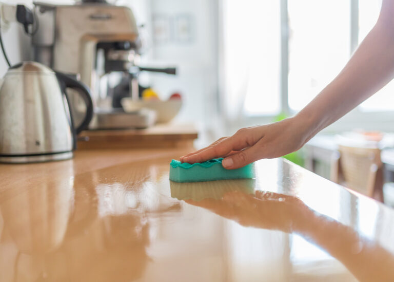 Sustainable Kitchen Cleaning